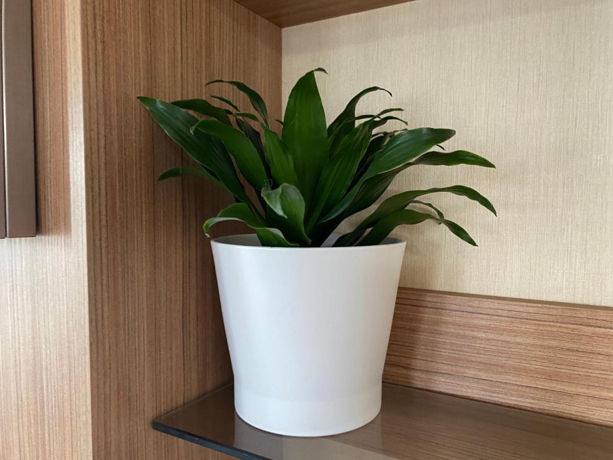 The Windermere 惠茨特布尔 外观 照片